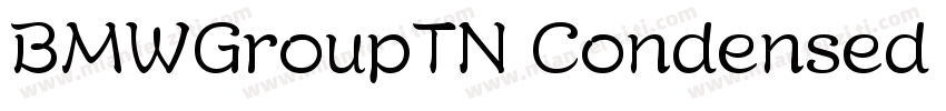 BMWGroupTN Condensed (正文)字体转换
